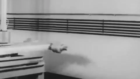 The cat is tested on the centrifuge.. THE FIRST CAT IN SPACE, Felicette (1) Video stock 235873280
