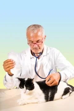 Cat therapy Stockfoto's