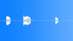Cat thin miaow Sound Effect