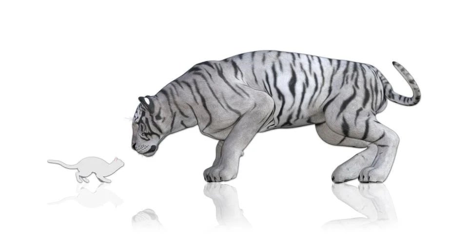 Cat Tiger Reflection Stock Illustration