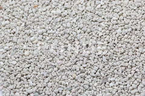 Cat toiled sand Stock Photos