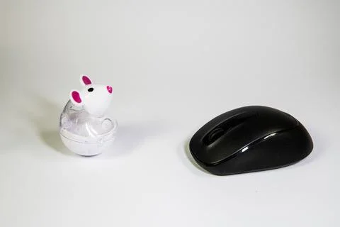 Cat toy mouse facing a computer mouse. Stock Photos
