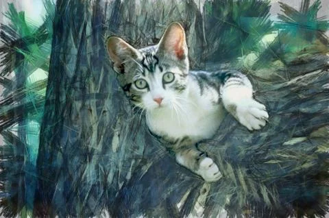 Cat up a tree Stock Illustration