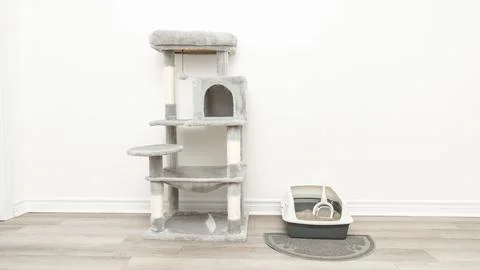 Cat tree with multiple levels and scratching posts alongside a litter box on a Stock Photos