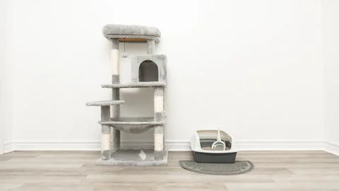 Cat tree with multiple levels and scratching posts beside a cat litter box on a Stock Photos