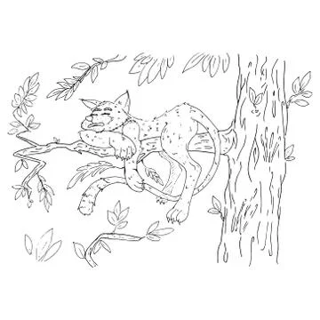 Cat on a tree. Vector illustration of a cat with a long tail on a tree. Hand  Illustration