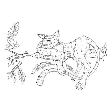 Cat on a tree. Vector illustration of a cat with a long tail on a tree. Hand  Illustration