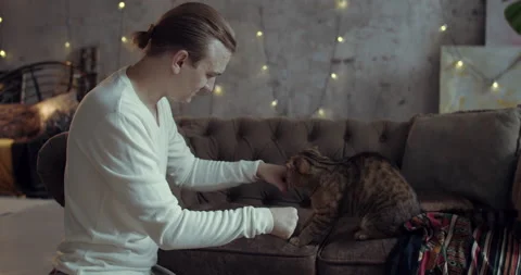 The cat is trying to guess in which hand his owner is hiding its food Stock Footage 135391290
