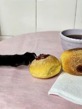 Cat trying to steal a cornbread roll Stock Photos