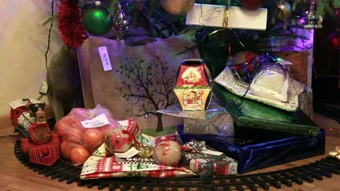 Cat under christmas tree Stock Footage 71532536