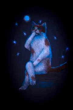 Cat under the moon Stock Illustration