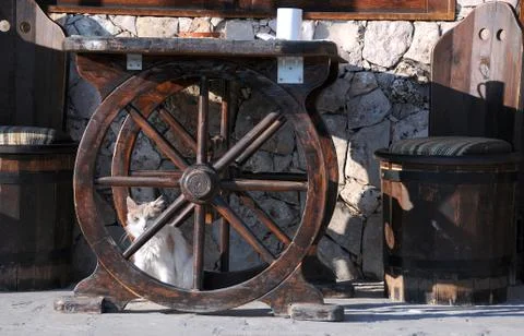 Cat Under the Table Stock Photos