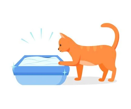 Cat using clean litter box. Right way to maintain cat toilet. Pet toilet hygiene Stock Illustration