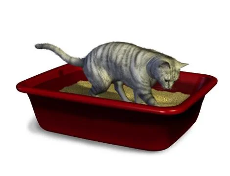 Cat using litter box Stock Illustration