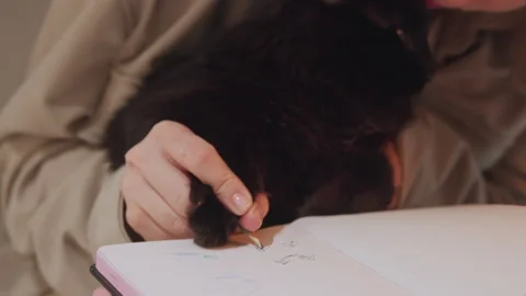 Cat using paw to draw with pencil on notebook while held by person with drawing Stock Footage 345067753