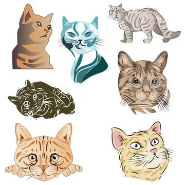 Cat Vector Drawing and Illustration Set Stock Illustration