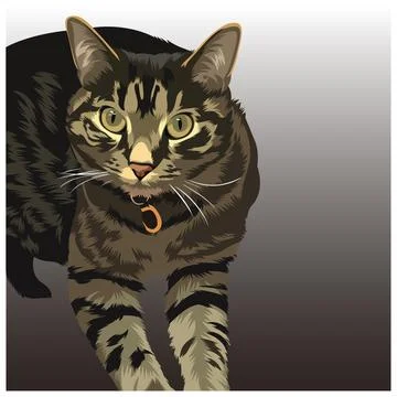 Cat vector illustration 010 Illustrazione stock