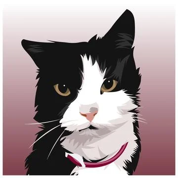 Cat vector illustration 03 Illustrazione stock