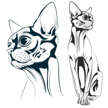 Cat vector Stock Illustration
