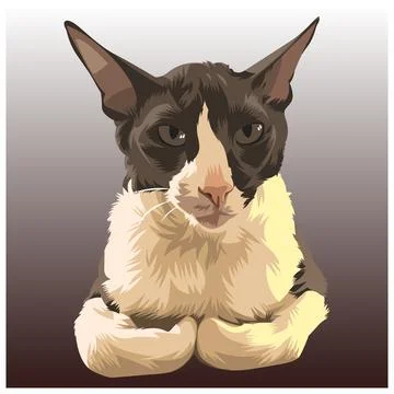 Cat vector illustration 08 Illustrazione stock