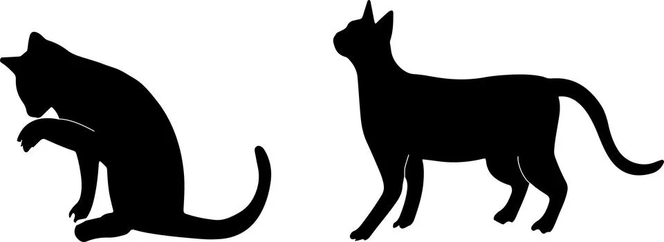 Cat vector illustration isolated on background イラスト素材