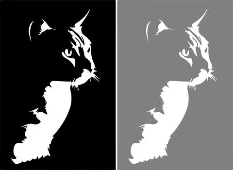 Cat vector illustration isolated on background イラスト素材