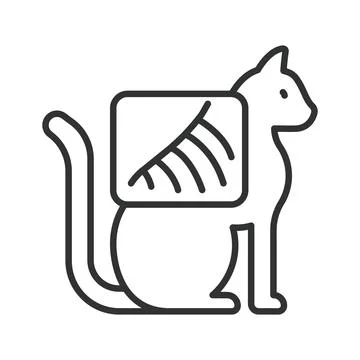 Cat veterinary X-ray image, icon in line design. cat X-ray, animal X-ray Ilustração Stock
