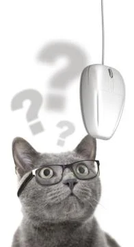 Cat with vision problems looking at computer mouse. Stock Illustration