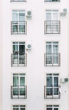 Cat walking on the balcony outside. Stock Photos