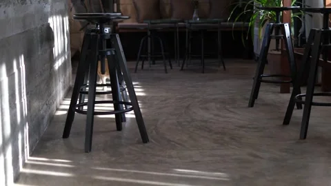 Cat Walking Inside Cozy Cafe with Sunlight and Wooden Furniture. Stock Footage 325237391