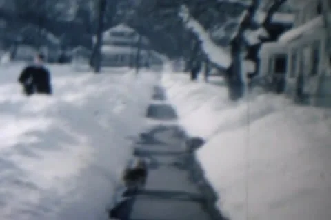 Cat walking in snow Stock Footage 24672303
