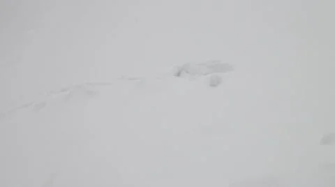 Cat walks in the snow Stock Footage 10821152