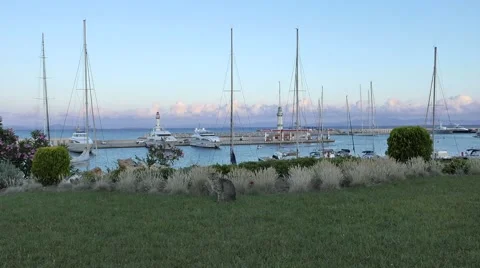 Cat watching to camera and kittens playing with a harbor and luxury boats and Stock Footage 55604716