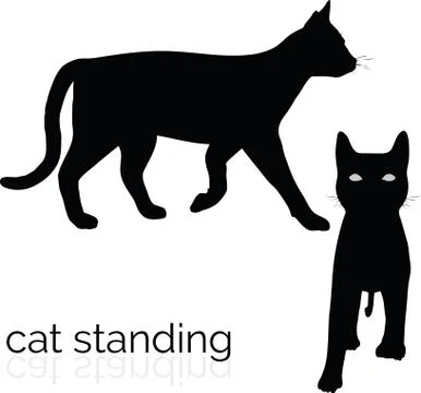 Cat on white background Stock Illustration