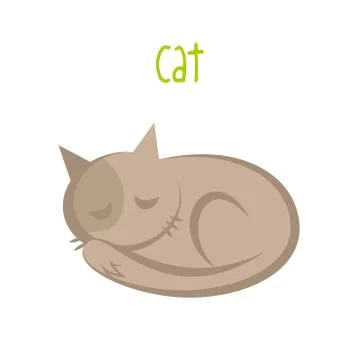 Cat on white background Illustrazione stock