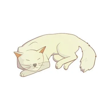 Cat on white イラスト素材
