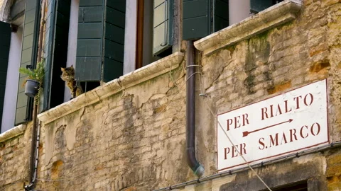 Cat on a window and turistic directions Vídeo Stock 168735599