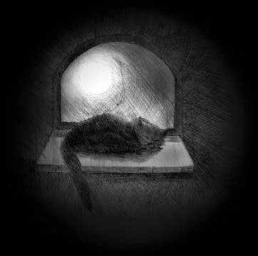 Cat on the window Stock Illustration