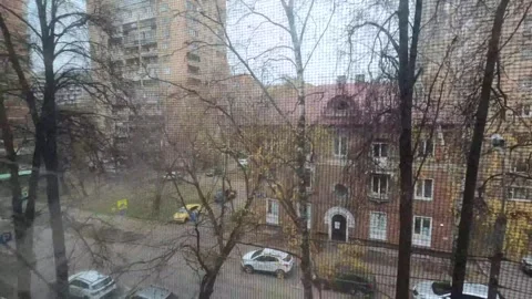 The cat at the window looking at the street Stock Footage 264482465