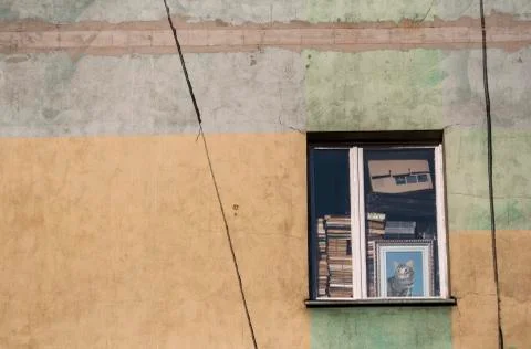 Cat in window Stock Photos