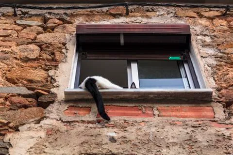Cat in the window of a stone house Stock Photos