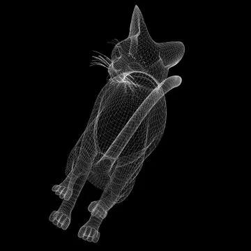 Cat wire model Stock Illustration