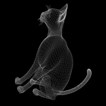 Cat wire model Stock Illustration