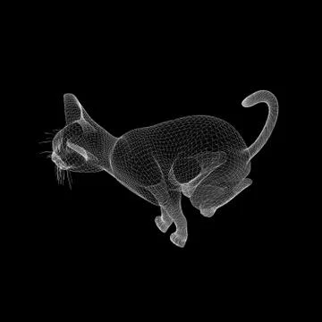 Cat wire model Stock Illustration
