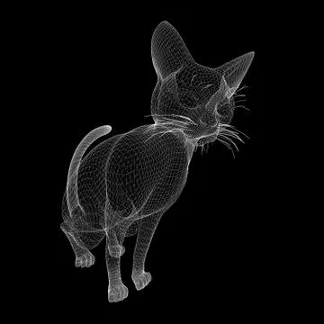 Cat wire model Stock Illustration