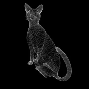 Cat wire model Stock Illustration