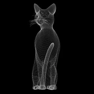 Cat wire model Stock Illustration