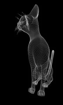 Cat wire model Stock Illustration