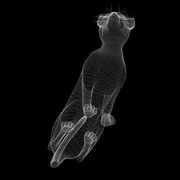 Cat wire model Stock Illustration