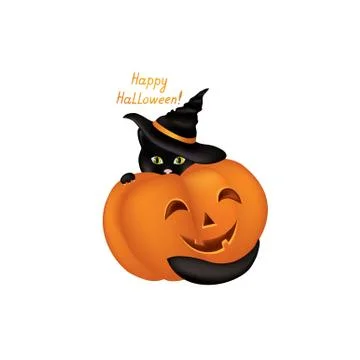 Cat in witch hat. Black cat looking at camera in Halloween outfit Funny holiday Stock Illustration